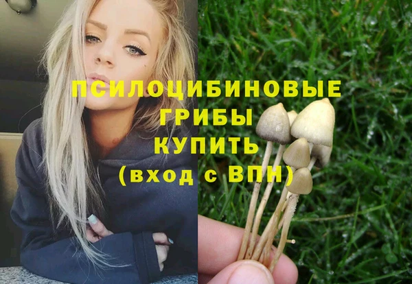 метадон Горняк