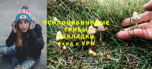 сатива Горно-Алтайск