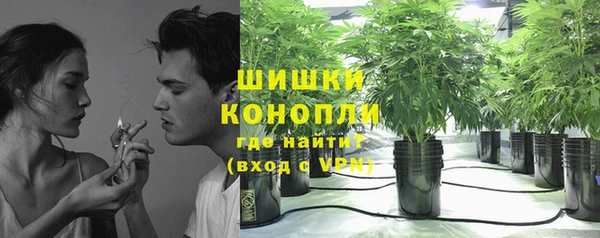 метадон Горняк
