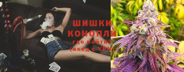 сатива Горно-Алтайск