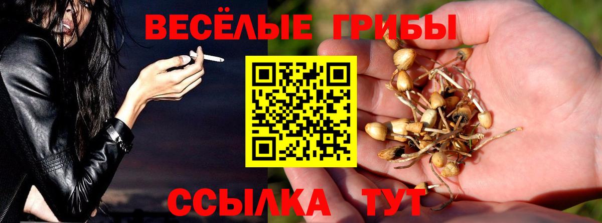 Галлюциногенные грибы MAGIC MUSHROOMS Серпухов