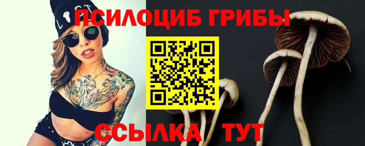 Псилоцибиновые грибы Psilocybine cubensis  Псилоцибиновые грибы ЛСД  Серпухов  Вход с VPN 